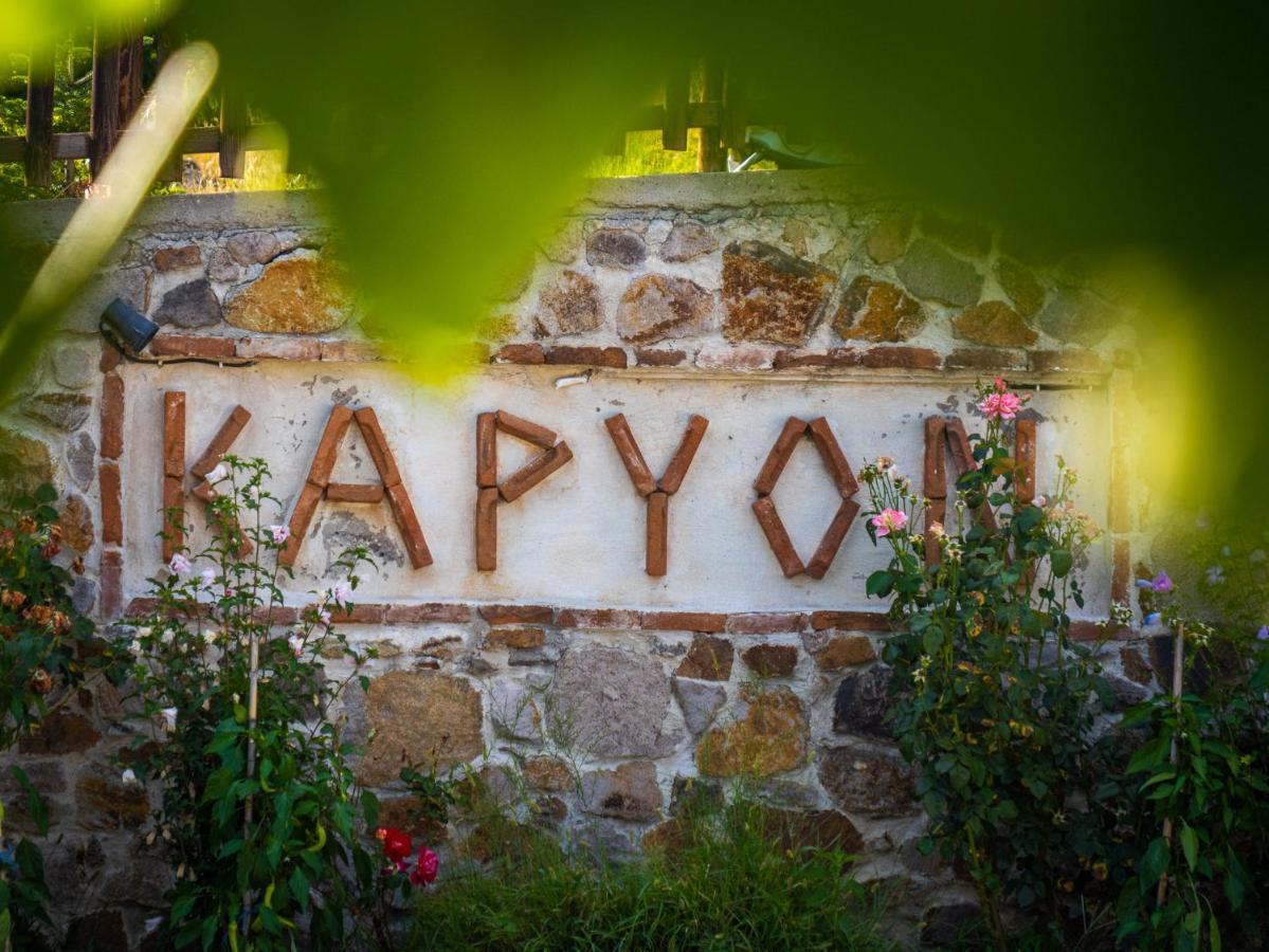 Karyon *